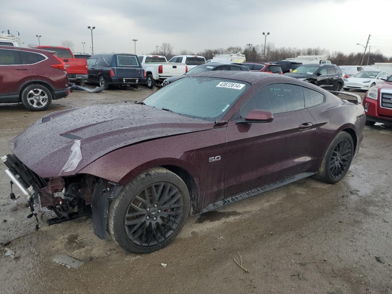 FORD MUSTANG 2018 1fa6p8cf3j5122012