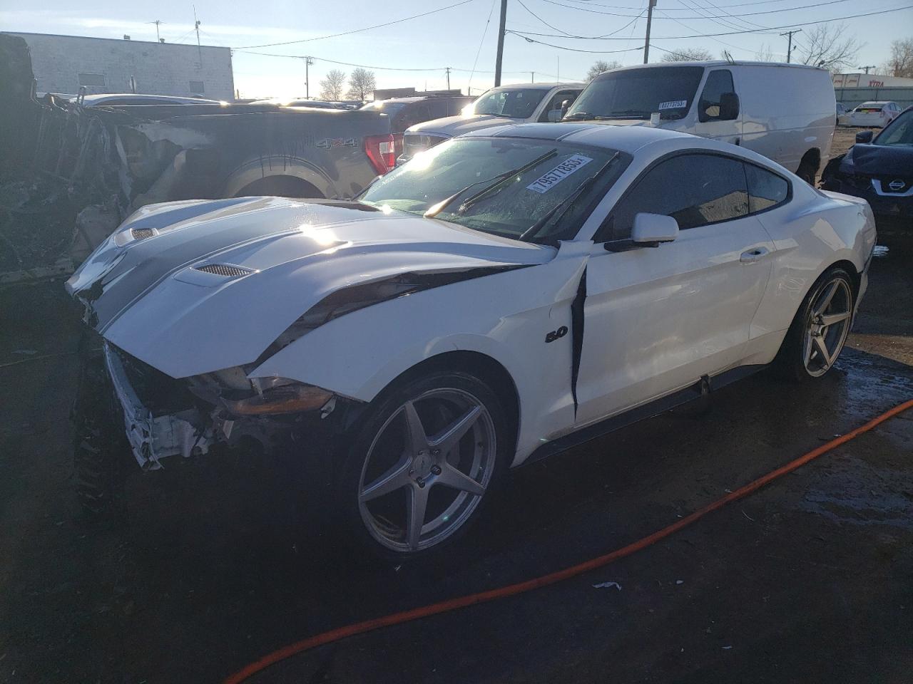 FORD MUSTANG 2019 1fa6p8cf3k5115062