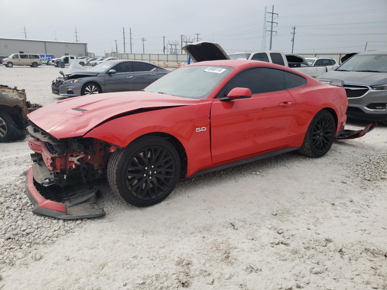 FORD MUSTANG 2019 1fa6p8cf3k5174984