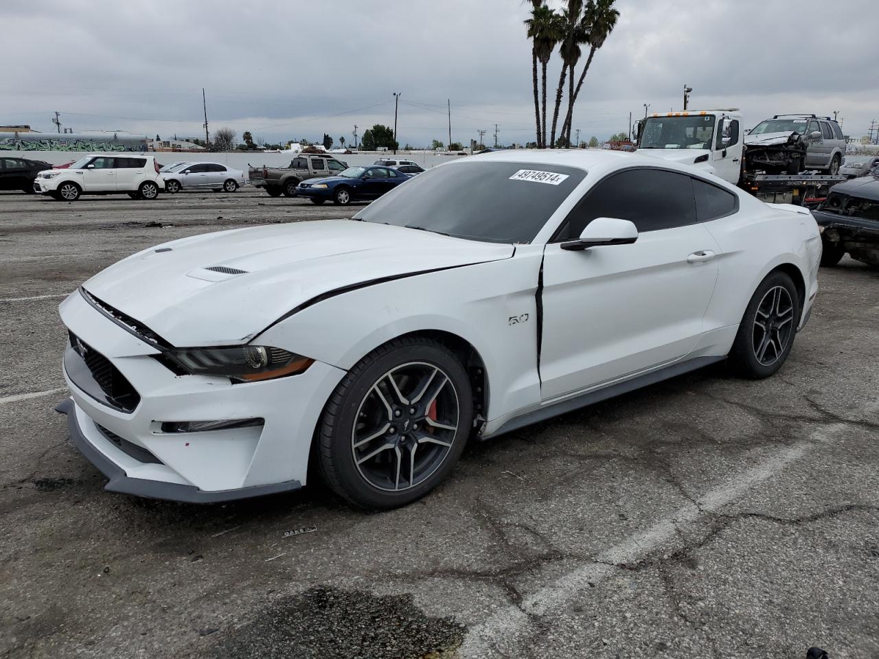 FORD MUSTANG 2019 1fa6p8cf3k5193535