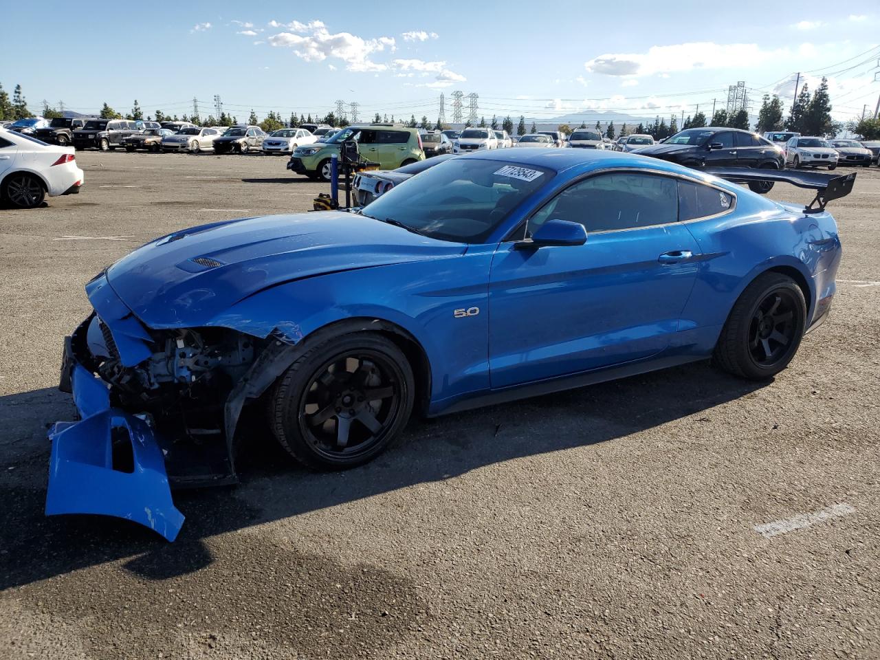 FORD MUSTANG 2019 1fa6p8cf4k5110033