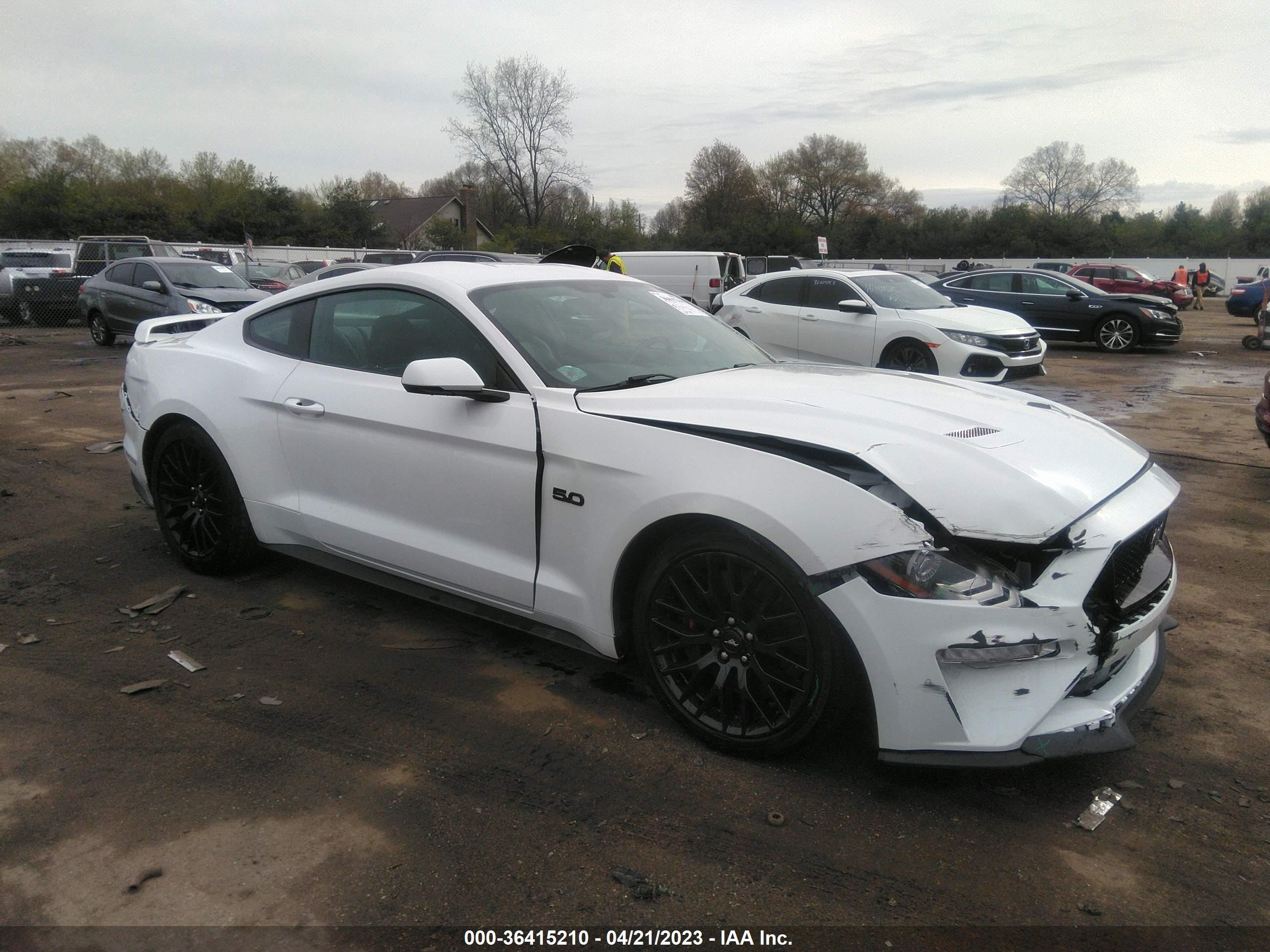 FORD MUSTANG 2019 1fa6p8cf4k5153870