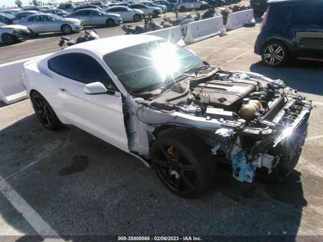 FORD MUSTANG 2019 1fa6p8cf4k5202436