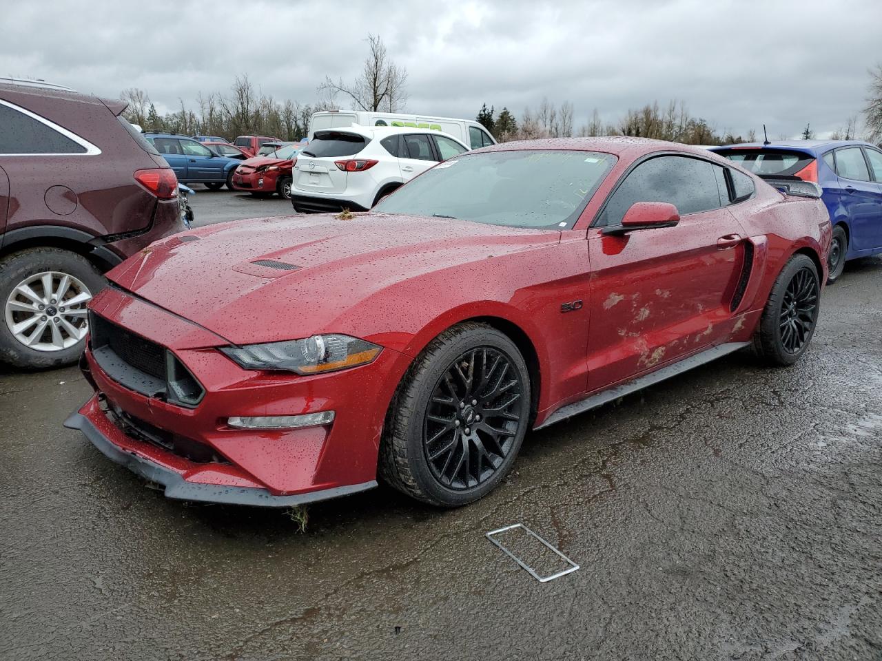 FORD MUSTANG 2019 1fa6p8cf5k5104130