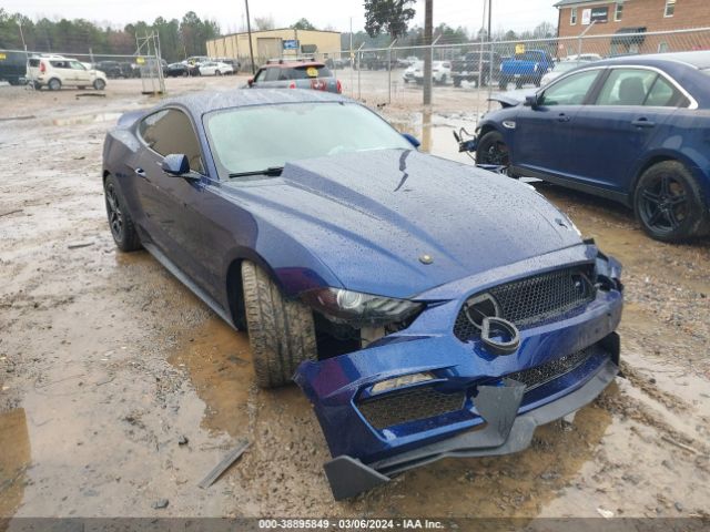 FORD MUSTANG 2019 1fa6p8cf5k5117704