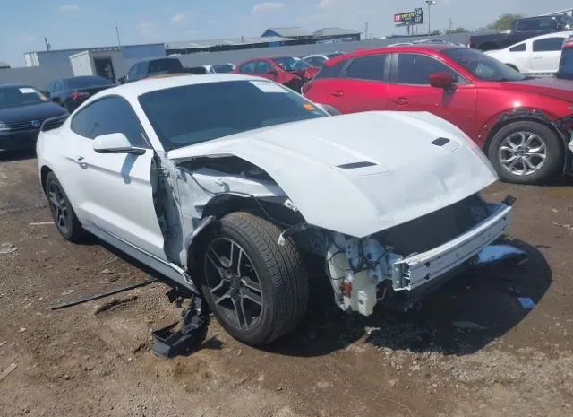 FORD MUSTANG 2019 1fa6p8cf5k5151481