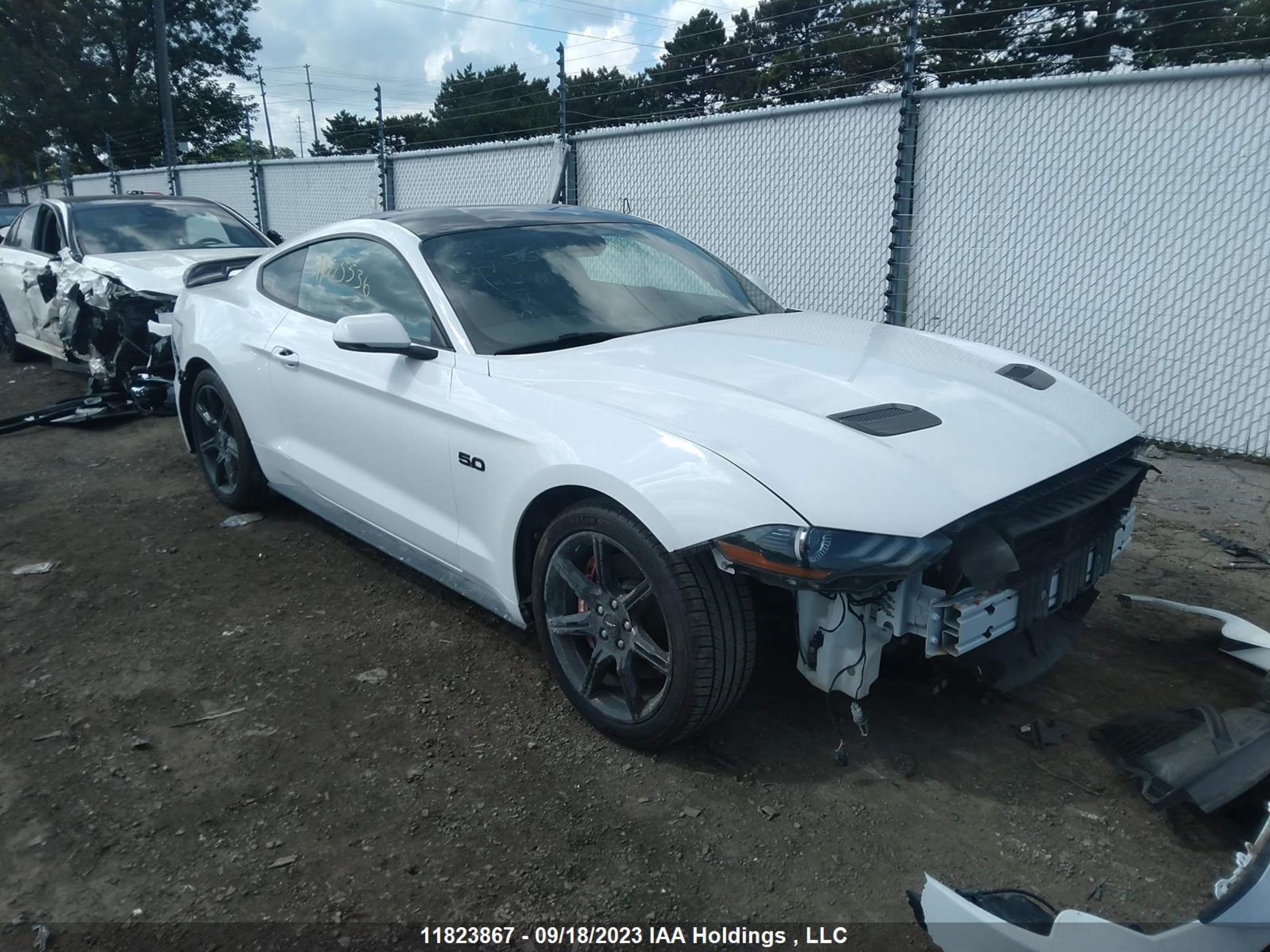 FORD MUSTANG 2019 1fa6p8cf5k5176137