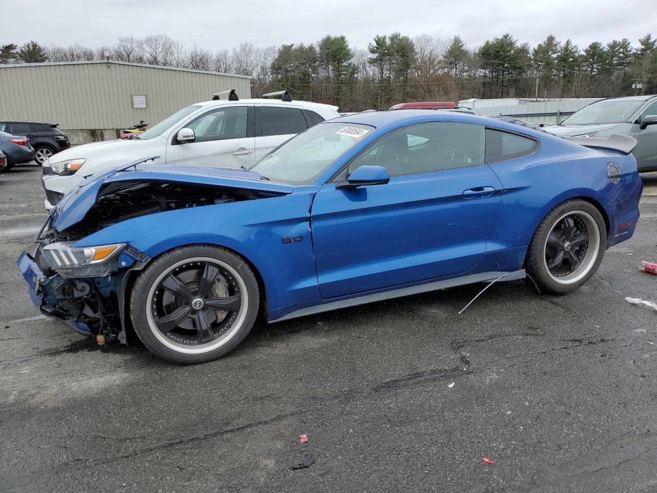 FORD MUSTANG 2017 1fa6p8cf6h5246513