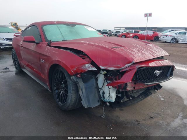 FORD MUSTANG 2019 1fa6p8cf7k5123522