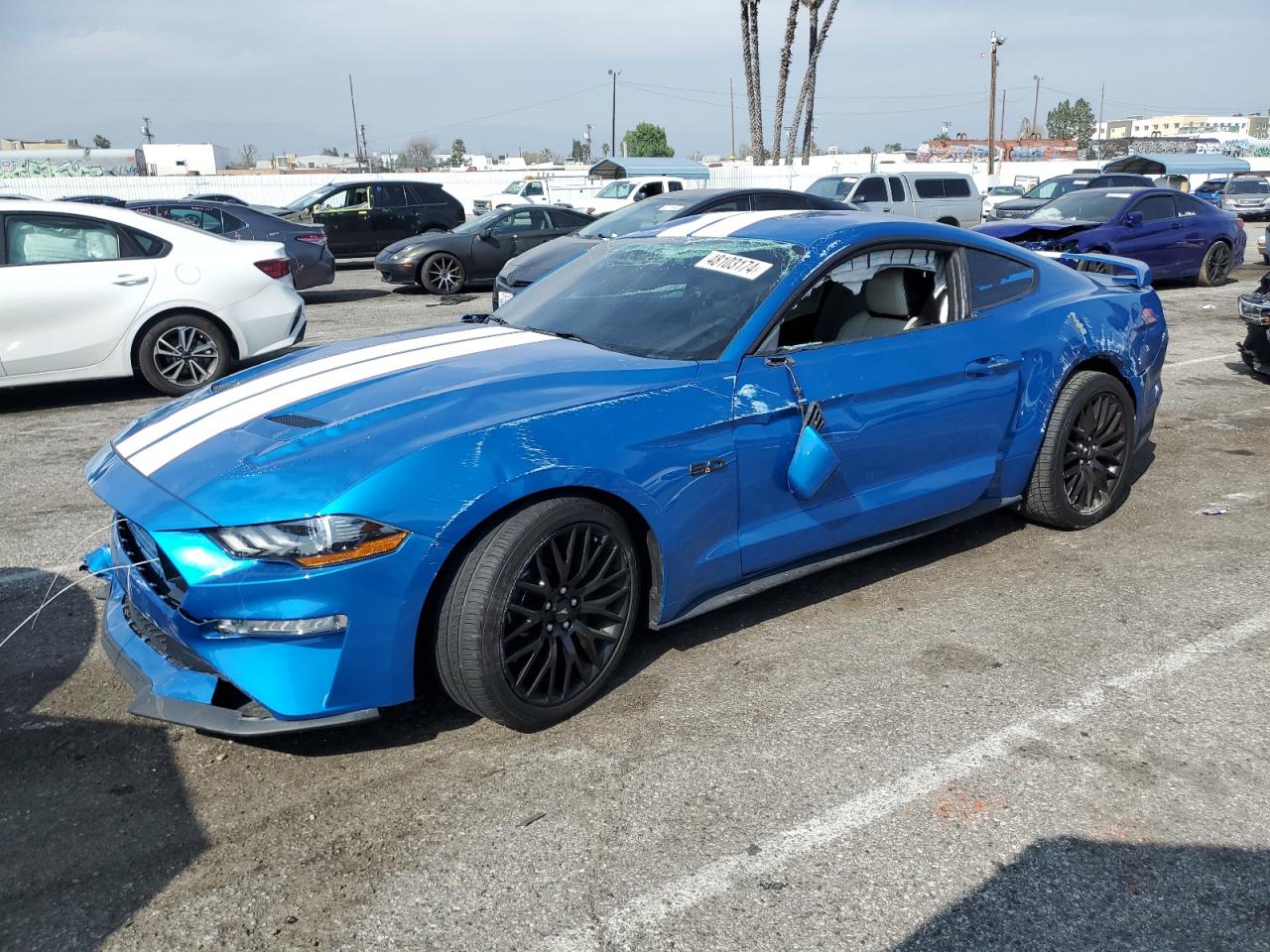 FORD MUSTANG 2019 1fa6p8cf7k5175684