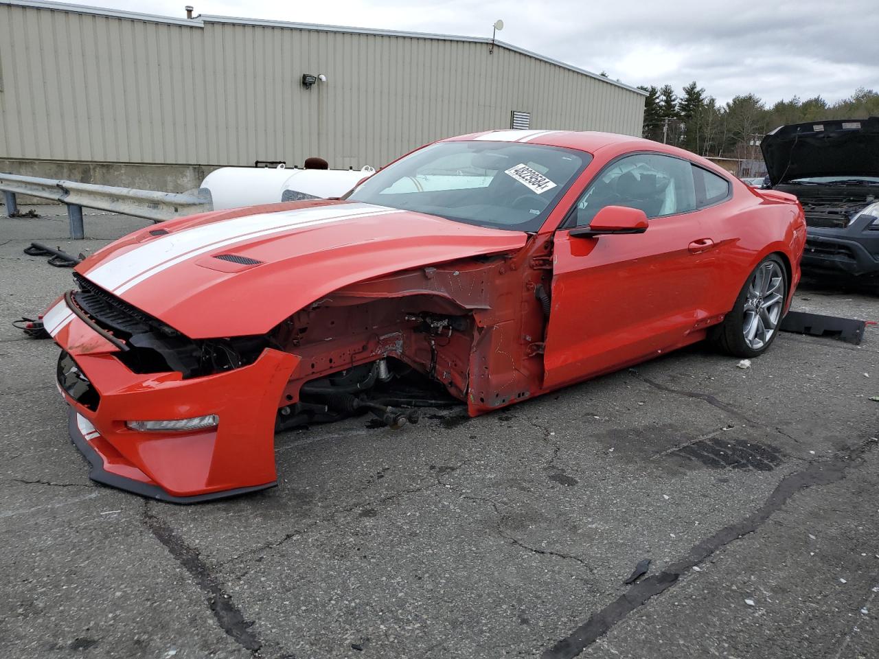 FORD MUSTANG 2019 1fa6p8cf7k5193795