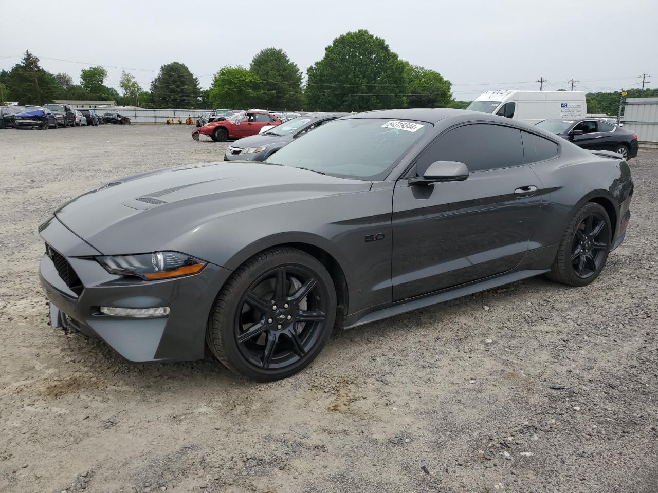 FORD MUSTANG 2019 1fa6p8cf7k5203788