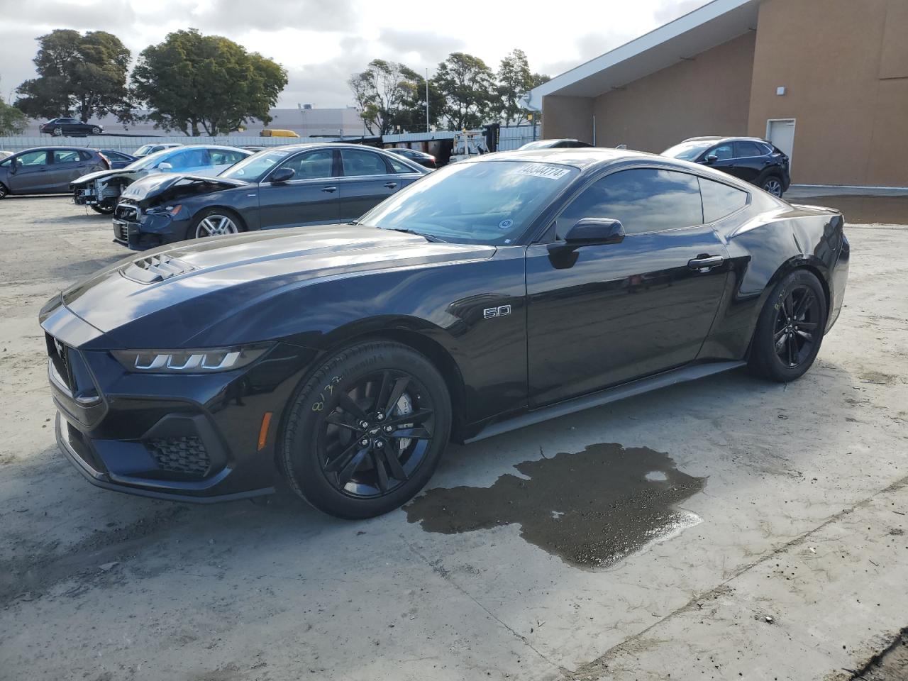 FORD MUSTANG 2024 1fa6p8cf7r5414497