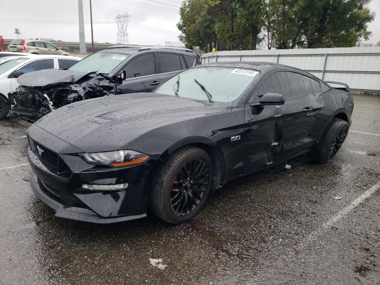 FORD MUSTANG 2019 1fa6p8cf8k5133752