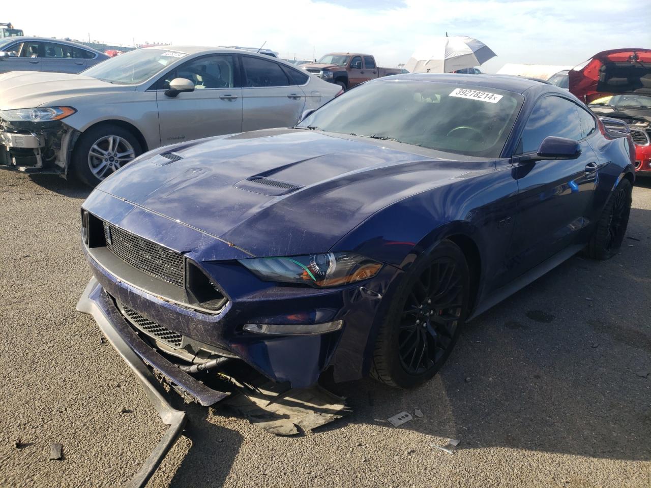 FORD MUSTANG 2019 1fa6p8cf8k5173880