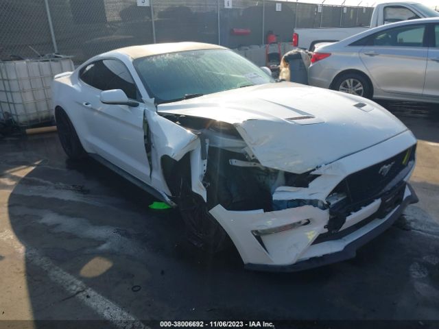 FORD MUSTANG 2019 1fa6p8cf8k5185964