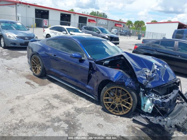 FORD MUSTANG 2019 1fa6p8cf9k5116989