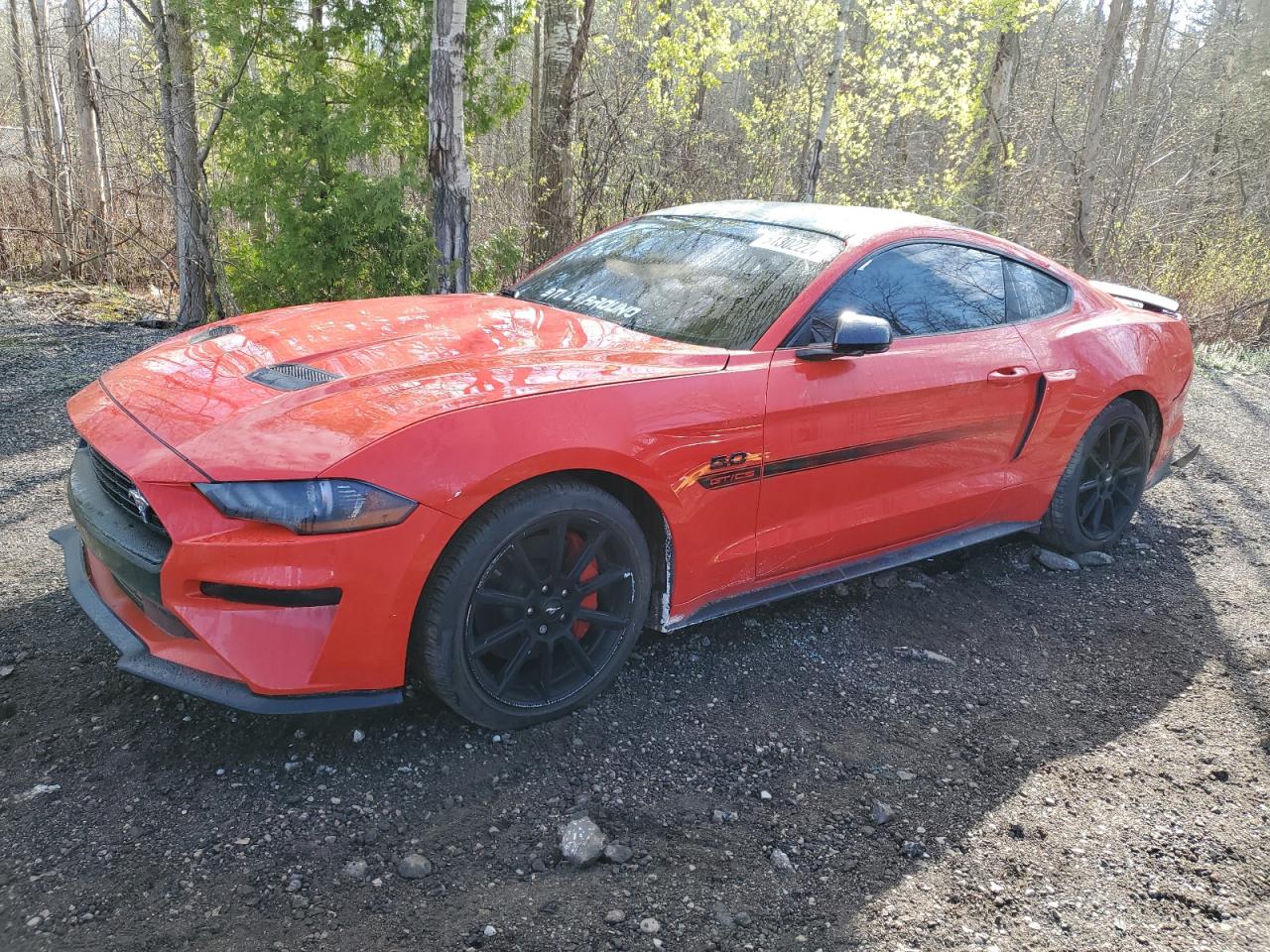 FORD MUSTANG 2019 1fa6p8cf9k5160006