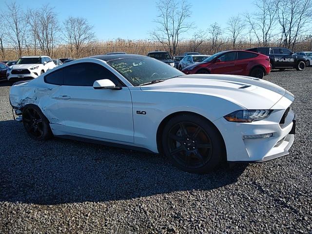 FORD MUSTANG 2019 1fa6p8cf9k5188940