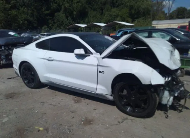 FORD MUSTANG 2019 1fa6p8cfxk5111428