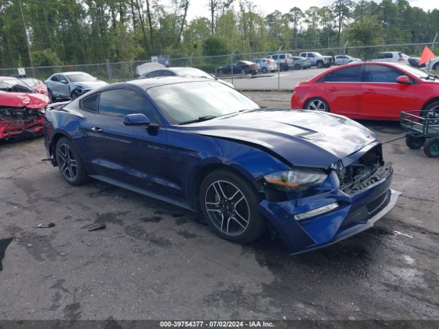 FORD MUSTANG 2019 1fa6p8cfxk5132876