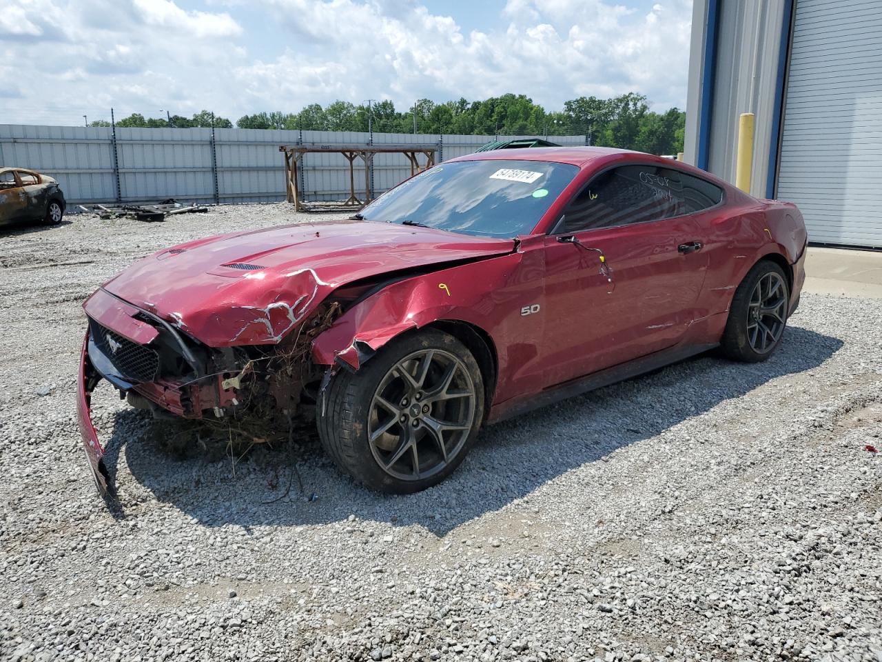 FORD MUSTANG 2019 1fa6p8cfxk5198862