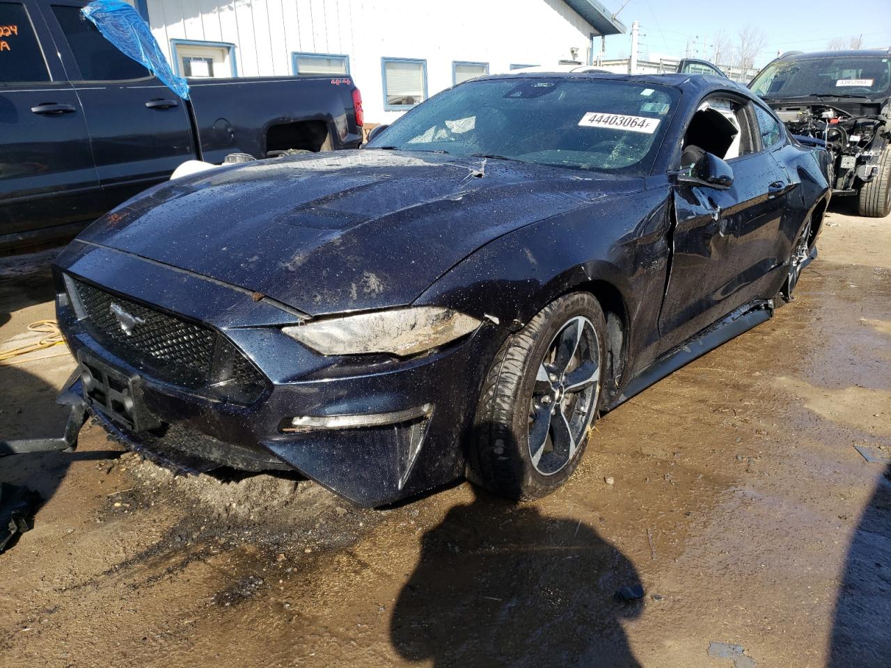 FORD MUSTANG 2021 1fa6p8cfxm5156209