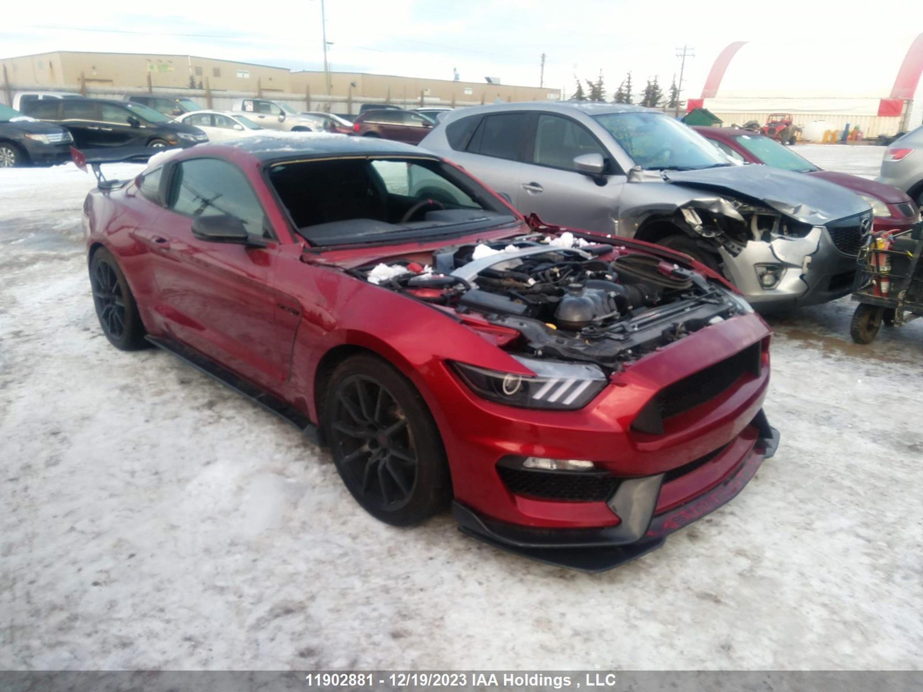 FORD MUSTANG 2017 1fa6p8jz6h5520970