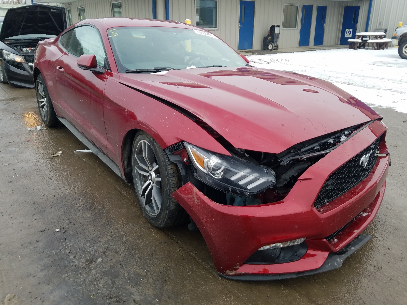 FORD MUSTANG 2016 1fa6p8th0g5201762