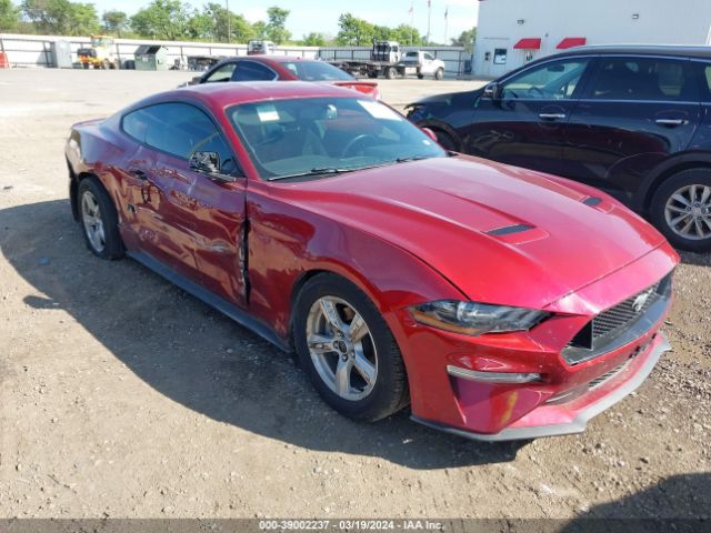 FORD MUSTANG 2019 1fa6p8th0k5108832