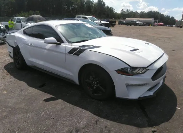 FORD MUSTANG 2019 1fa6p8th0k5125193