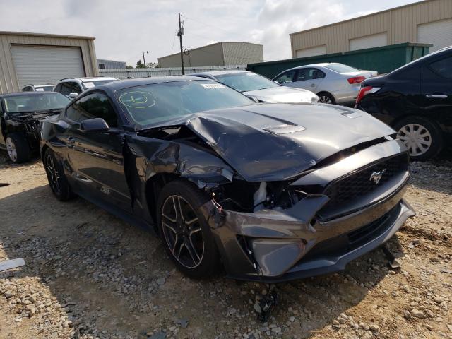 FORD MUSTANG 2019 1fa6p8th0k5132449