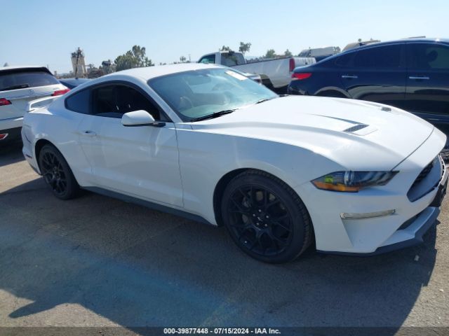 FORD MUSTANG 2019 1fa6p8th0k5134959