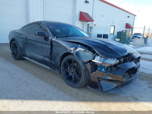 FORD MUSTANG 2019 1fa6p8th0k5142723