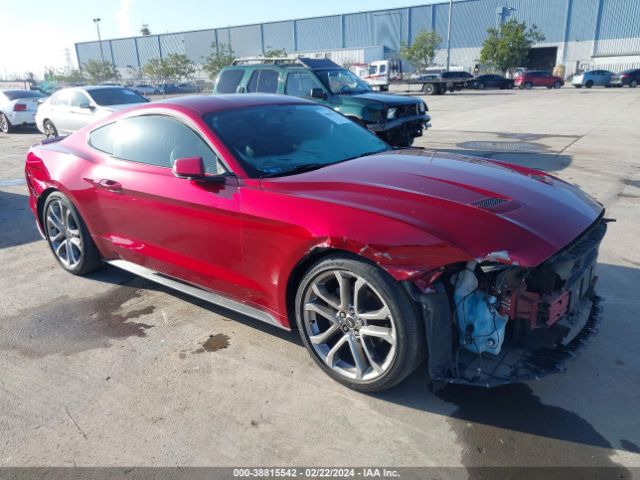 FORD MUSTANG 2019 1fa6p8th0k5168237