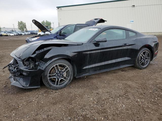 FORD MUSTANG 2019 1fa6p8th0k5176094