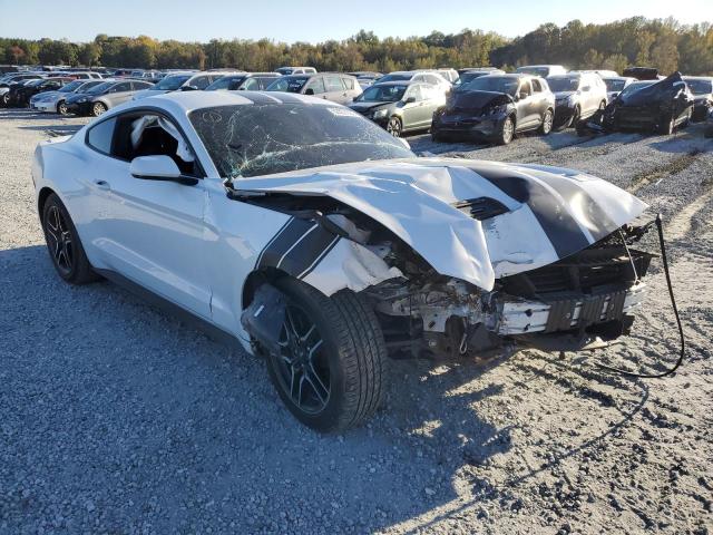 FORD MUSTANG 2019 1fa6p8th0k5184664