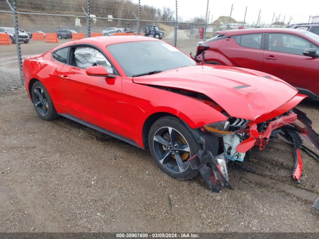 FORD MUSTANG 2019 1fa6p8th0k5205030