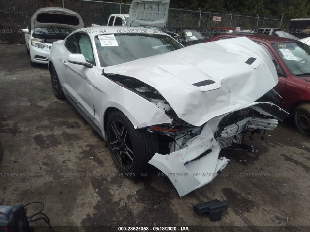 FORD MUSTANG 2020 1fa6p8th0l5103616