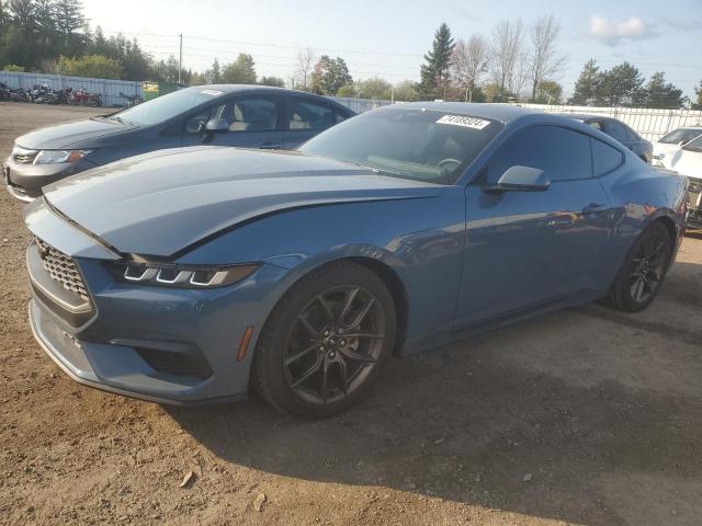 FORD MUSTANG 2024 1fa6p8th0r5103379