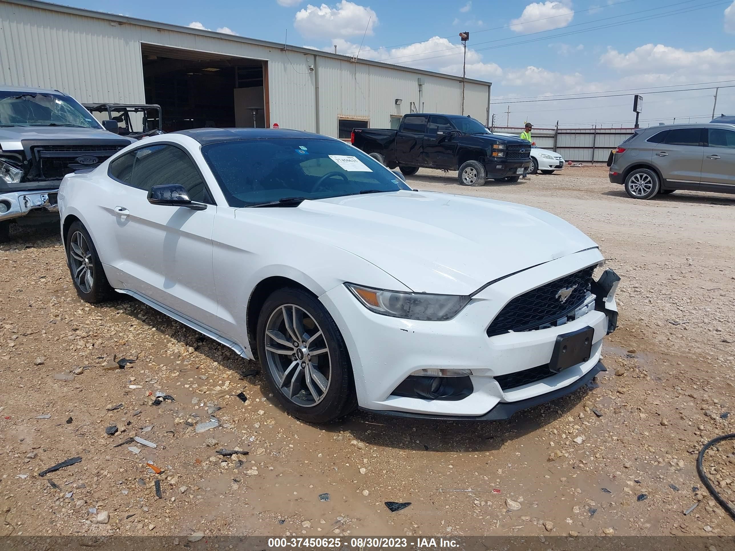 FORD MUSTANG 2015 1fa6p8th1f5313999