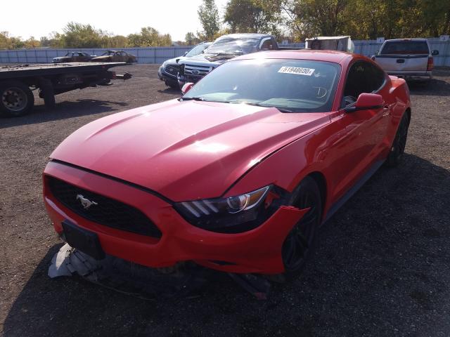 FORD MUSTANG 2015 1fa6p8th1f5415996