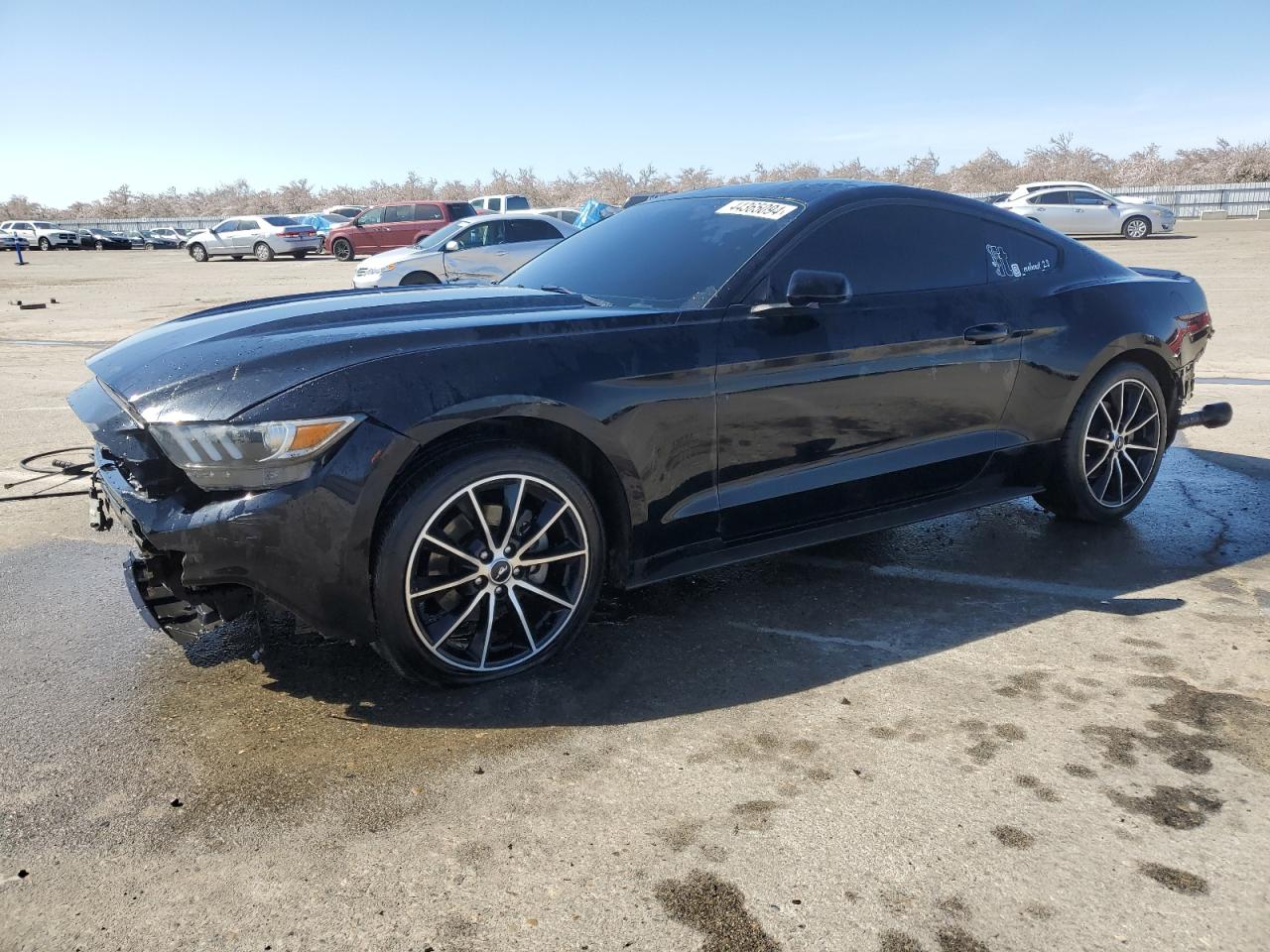 FORD MUSTANG 2016 1fa6p8th1g5323742