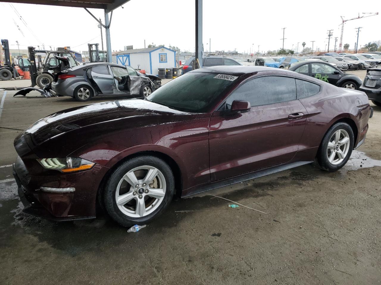 FORD MUSTANG 2018 1fa6p8th1j5119160