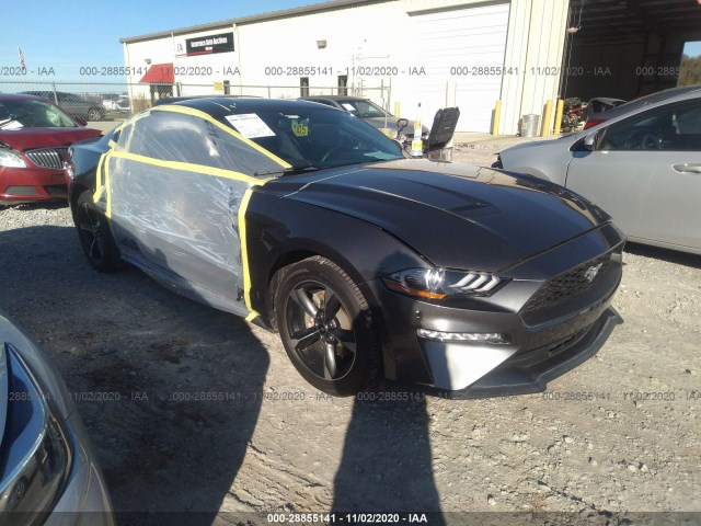 FORD MUSTANG 2019 1fa6p8th1k5157019