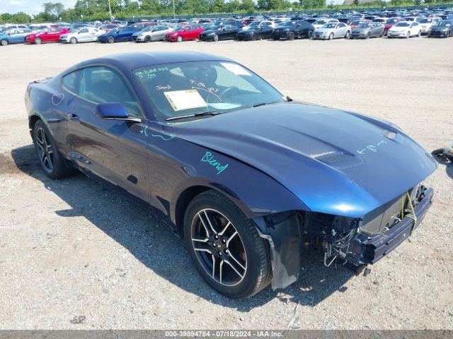 FORD MUSTANG 2019 1fa6p8th1k5176072