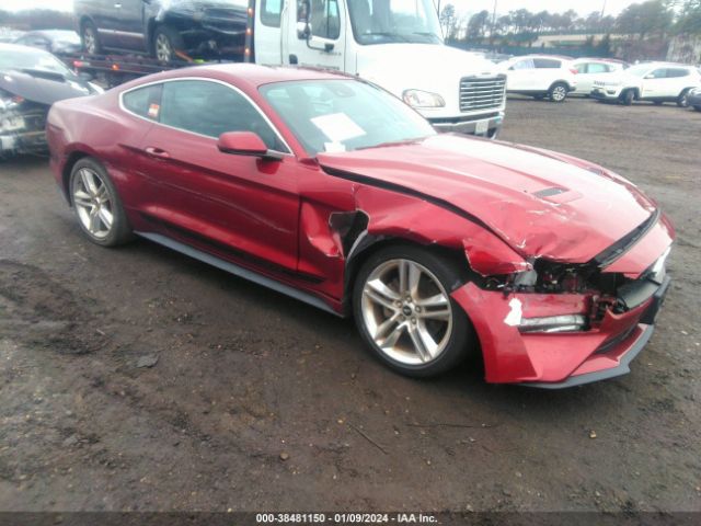 FORD MUSTANG 2019 1fa6p8th1k5180414