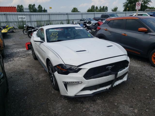 FORD MUSTANG 2019 1fa6p8th1k5188917