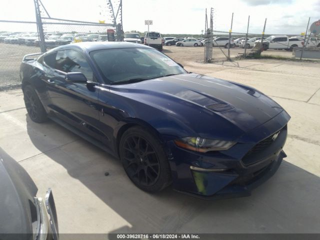 FORD MUSTANG 2019 1fa6p8th1k5196189