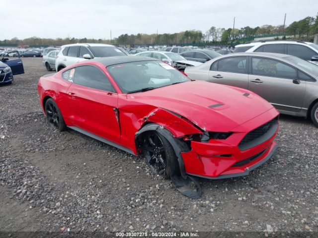 FORD MUSTANG 2019 1fa6p8th1k5198802